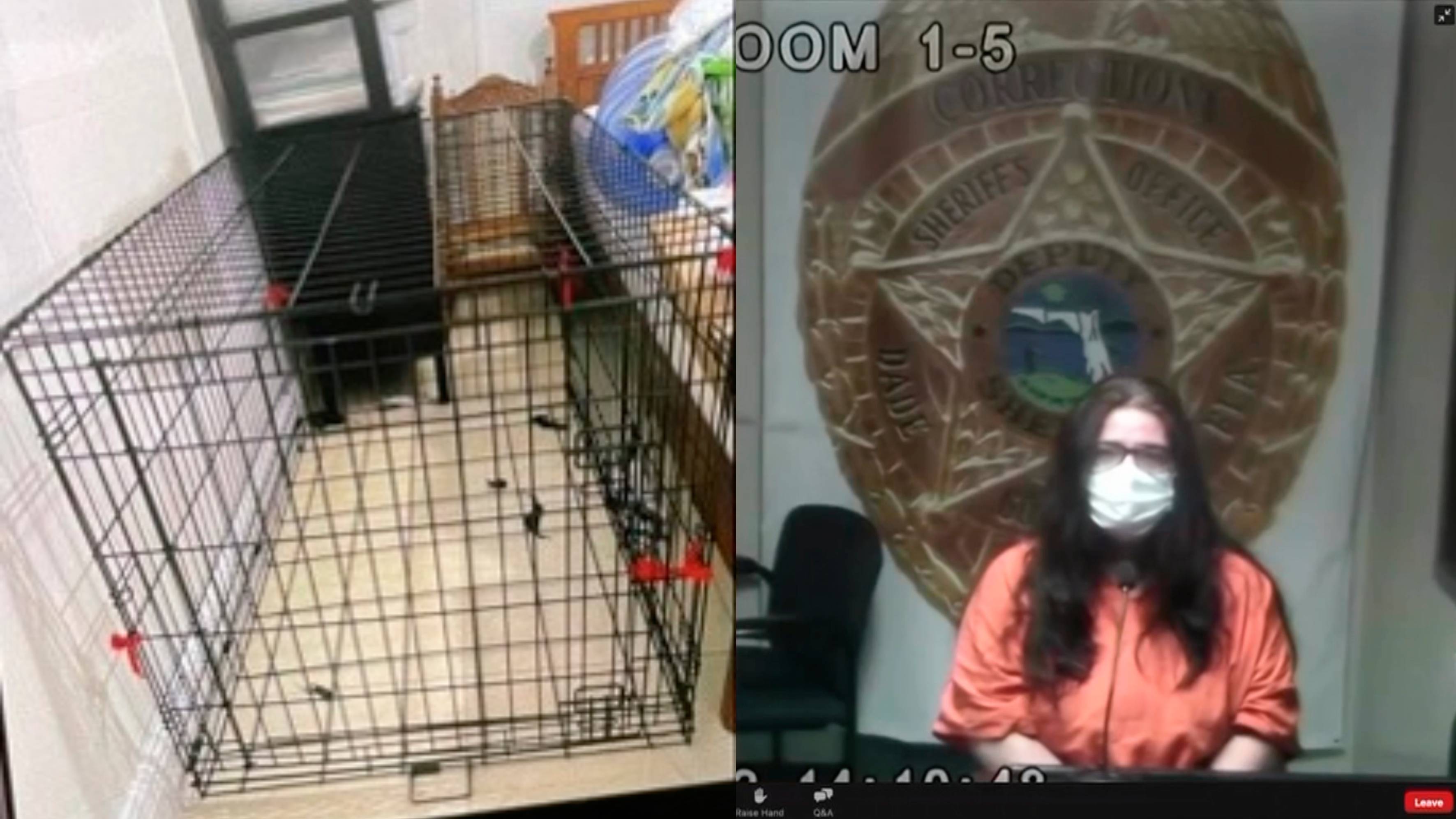 Florida: arrestan a mujer de origen cubano que encerraba a su hijo en jaula de perros