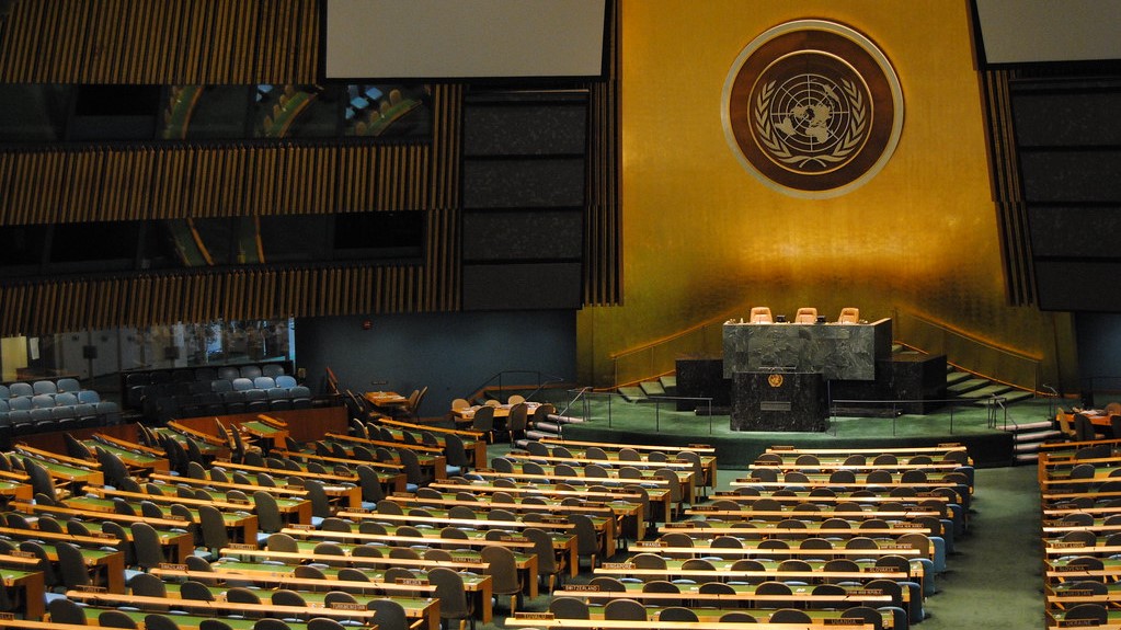 Asamblea General de la ONU