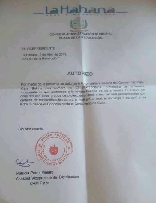 Carta de autorización
