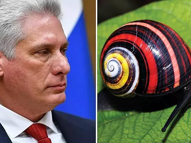 Díaz-Canel presume del premio a la polymita