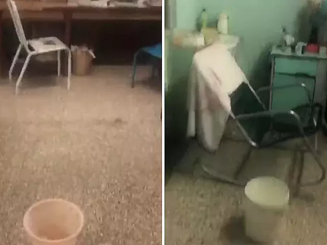 Foto: Capturas de pantalla Twitter/@el_Neko