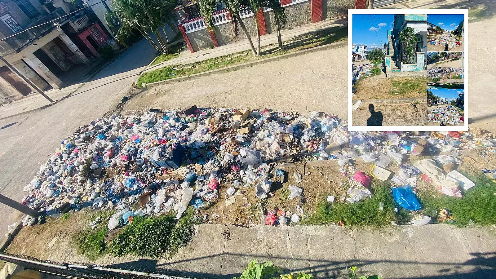 La acumulación de basura también fomenta la proliferación de enfermedades transmitidas por vectores como mosquitos y roedores