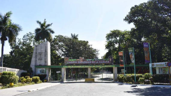 Zoológico de 26