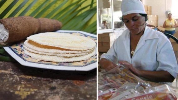 Casabe para sustituir harina y arroz en pasta