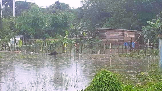 Inundaciones en El Fanguito Foto: Eduardo Douglas Pedroso