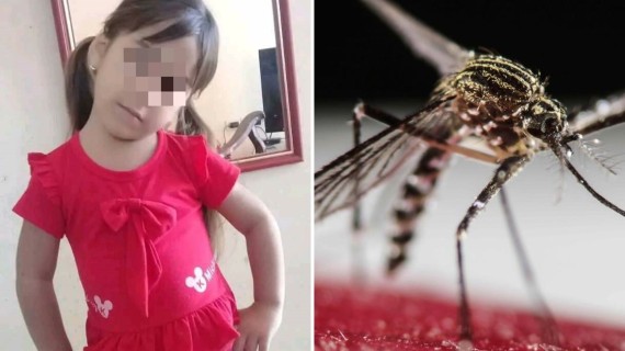 Reportan otra muerte de niña por dengue. Foto: Facebook/Yunia Álvarez y archivo