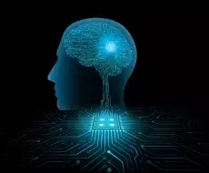 ESTUDIO: las nuevas generaciones tienen cerebros más grandes